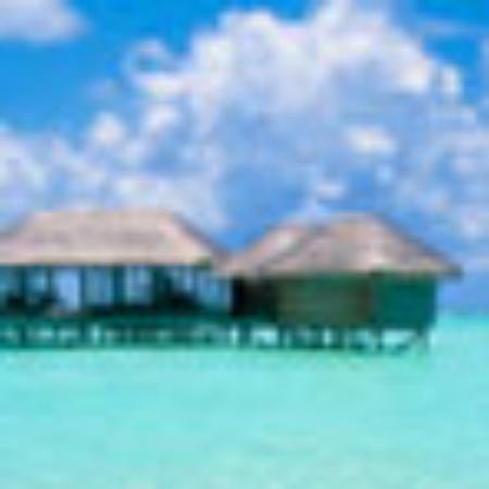 Koy's Sabrosa's Food